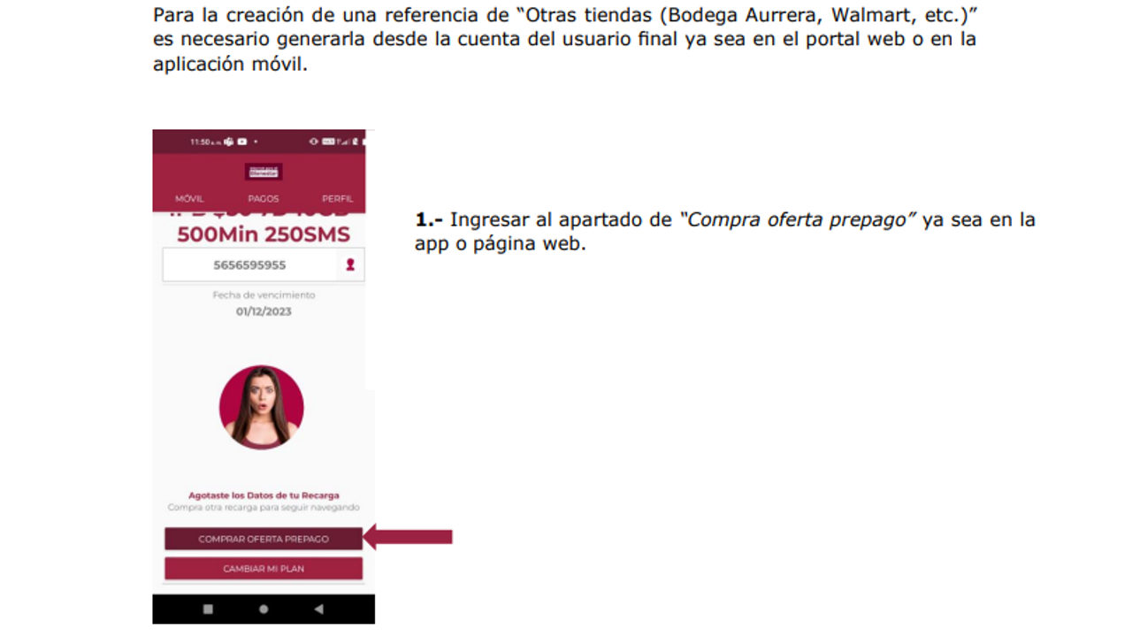 Muanual recargas por  referencia.